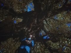 -济南方特东方神画