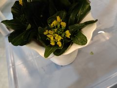 -喜聚薈·花膠雞海鮮火鍋(越秀店)