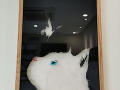 -凯特喵百思猫专科医院