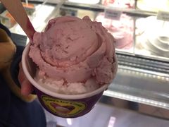 -Dooley's Premium Ice Cream