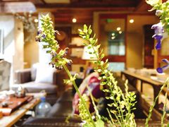 -看见远方·莫干遥远的山民宿