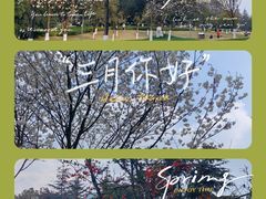 -重庆中央公园(渝北区)