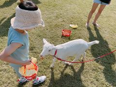 -前小桔亲子创意农场·草莓采摘·露营烧烤