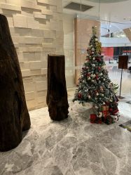 -丽妍雅集 Rubis SPA