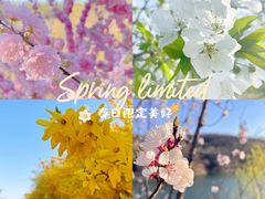 -北京西山国家森林公园