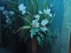 -陆琴脚艺·足浴·SPA(夫子庙店)