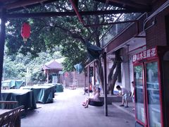 -鲤鱼塘农家山庄