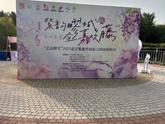 -嘉定紫藤园