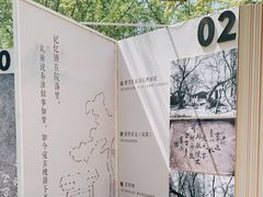 -红楼梦邮局