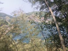 -长沙黑麋峰国家森林公园