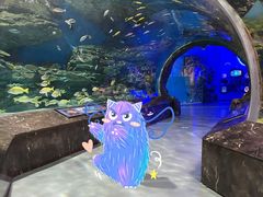 -海合安成都极地海洋公园