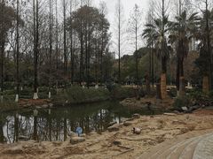 -苏州河梦清园环保主题公园