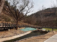 -白水寺森林公园
