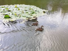 -前关湿地公园