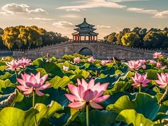 -颐和园