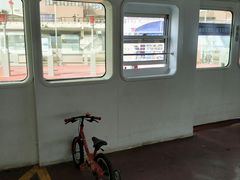 -丹东路渡口(轮渡站)