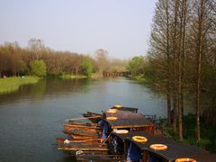 -溱湖国家湿地公园