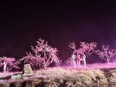-常德桃花源景区