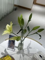 -康美贞·痘肌养护管理中心