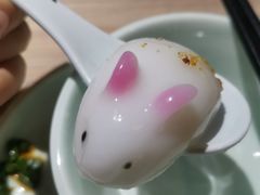 -探窝·竹笙椰子鸡(杨箕店)