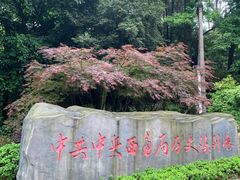 -缙云山景区