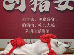 -洪湖家庭农场·团建·露营·会议