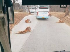 -西安秦岭野生动物园