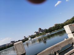 -莲花池公园