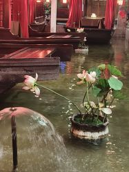 -特味村·宴会厅(生态园店)