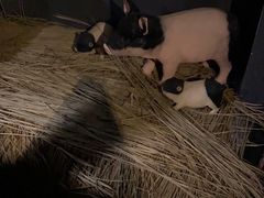 -E+有冰工厂·昆仑寒宫2(五角场店)