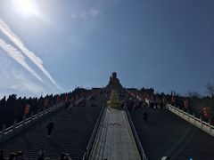 -龙口南山旅游景区