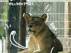 -五龙山野生动物王国