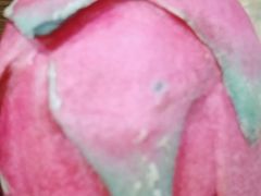 -学习谷日语培训日本留学·多语种外语教学(海淀人大分部)