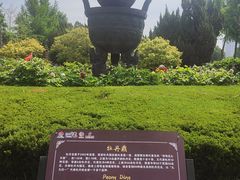 -曹州牡丹园