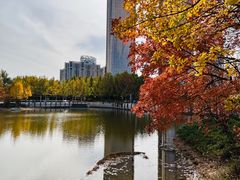 -大望京公园
