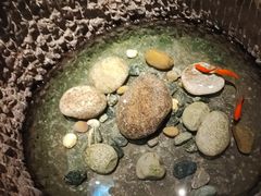 -福茂源横山铁锅羊肉(高新路店)