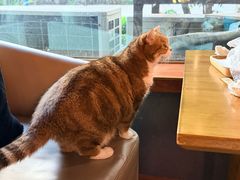 -咖法森林·咖啡  酒吧(天河店)