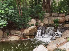 -深圳国际园林花卉博览园