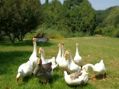 -北京宽沟会议中心