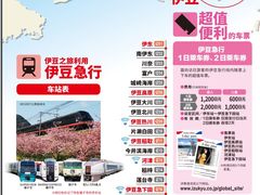 -伊豆观海列车