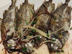-张家卫·阳江菜·小海鲜(肥婆湾桥店)