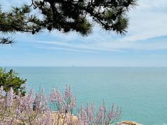 -小麦岛公园