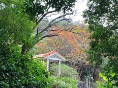 -广州市白云山风景名胜区