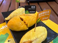 -榴莲BB 四季果园