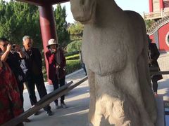-茂陵博物馆