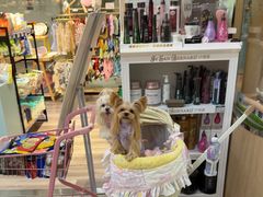 -BABIT巴比特宠物(MOMOPARK店)