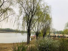 -东郊湿地公园
