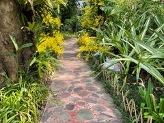 -中国科学院西双版纳热带植物园