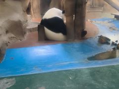 -成都动物园