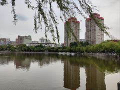 -文瀛公园